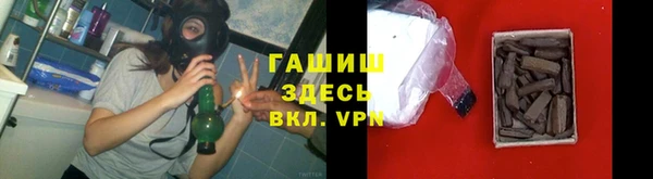 сатива Арсеньев