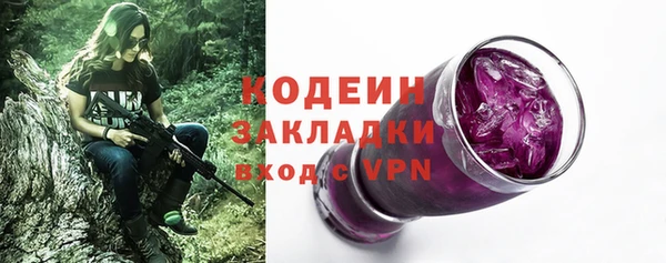 сатива Арсеньев