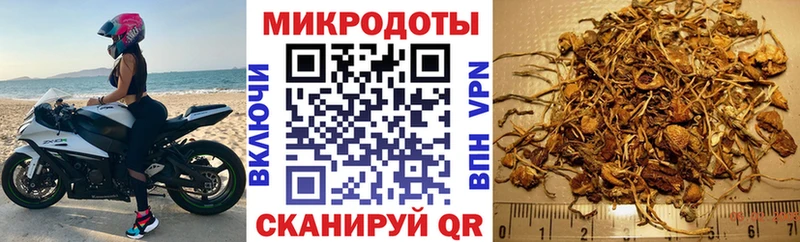 Купить  Новая Ляля  Псилоцибиновые грибы Cubensis 